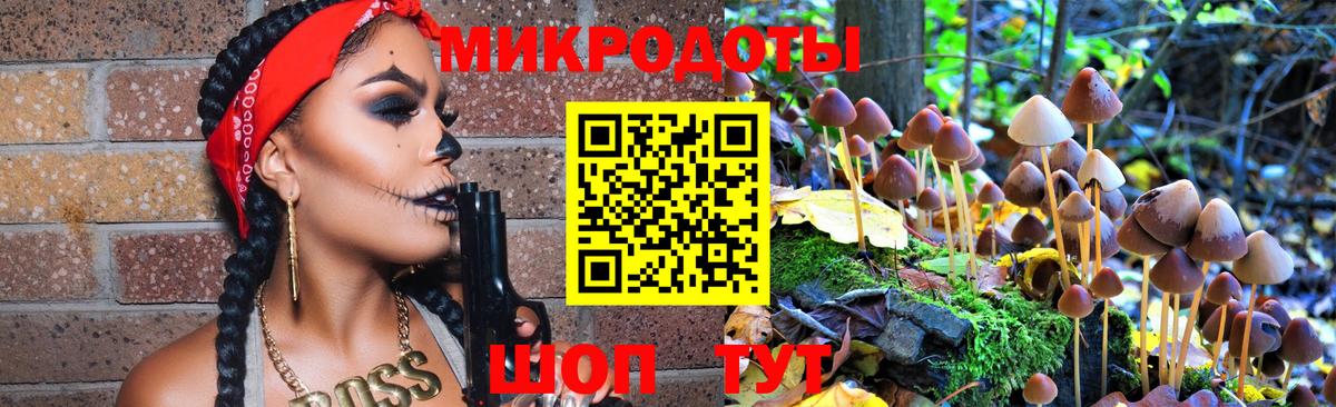 Галлюциногенные грибы Cubensis Пушкино